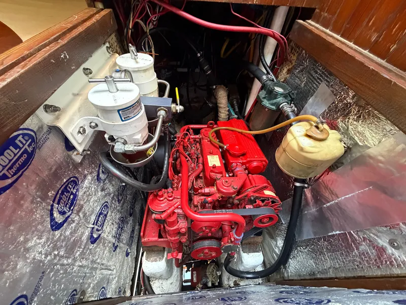 Slide: The Image of Young Sun 35 Cutter 1986 - 28