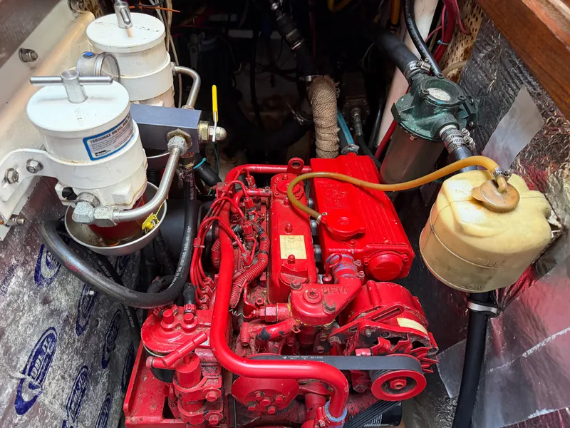 Slide: The Image of Young Sun 35 Cutter 1986 - 29