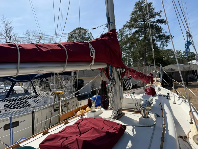 Slide: The Image of Young Sun 35 Cutter 1986 - 36