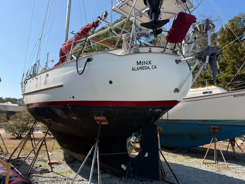 Slide: The Image of Young Sun 35 Cutter 1986 - 38