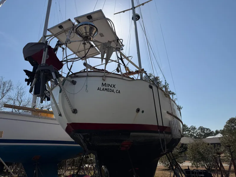 Slide: The Image of Young Sun 35 Cutter 1986 - 39