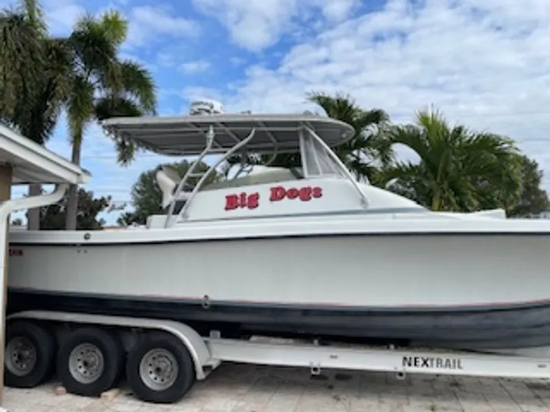 The Image of Contender Fisharound 2003 - undefined