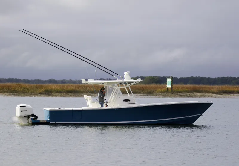 Slide: The Image of Regulator 34 Perchy- Profile - 2