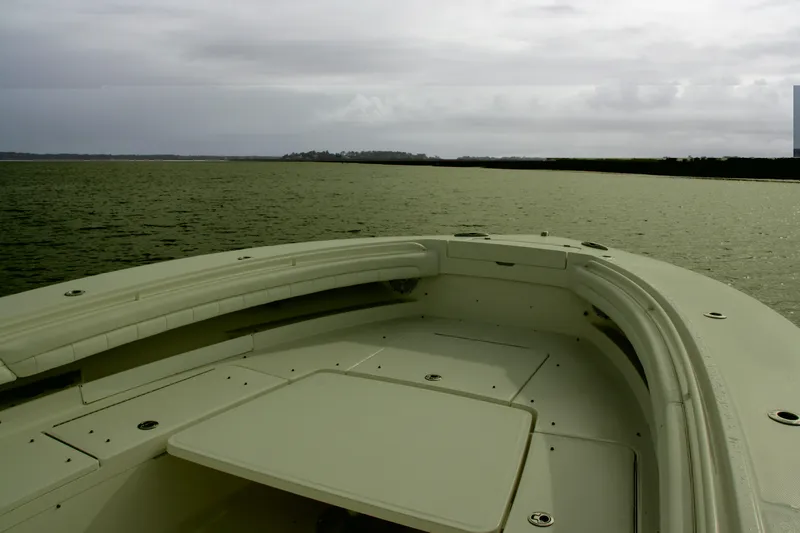 Slide: The Image of Regulator 34 Perchy- Bow - 21