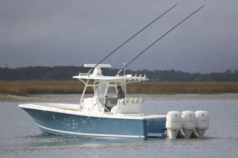 Slide: The Image of Regulator 34 Perchy- Profile - 5