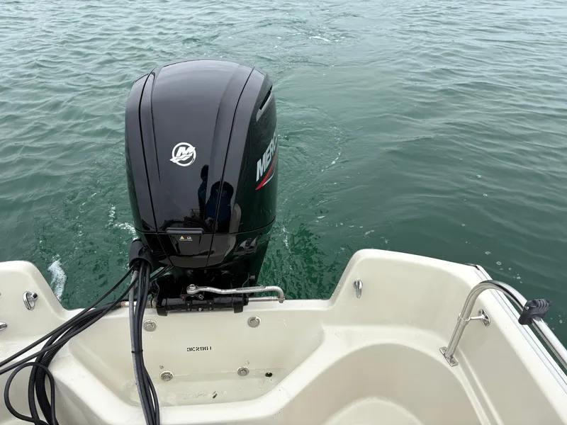 Slide: The Image of Boston Whaler 17 Montauk 1990 - 33