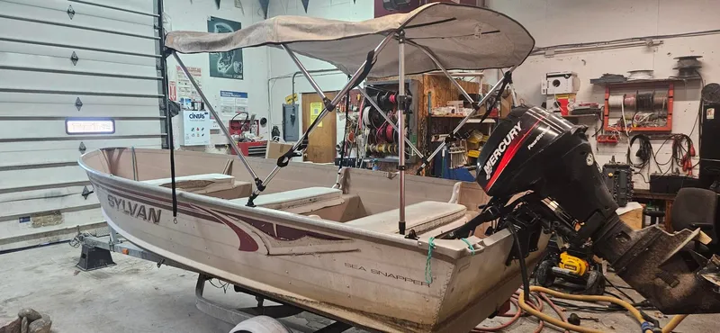 Slide: The Image of Sylvan Sea Snapper 2004 - 3