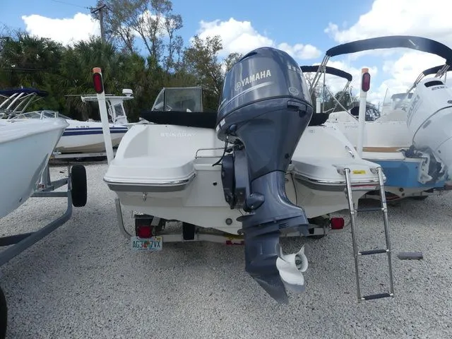 Slide: The Image of Stingray 191 DC 2017 - 4