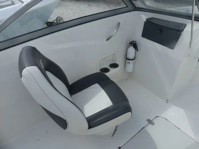 Slide: The Image of Stingray 191 DC 2017 - 8