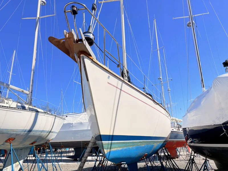 Slide: The Image of Morgan 44 1989 - 2