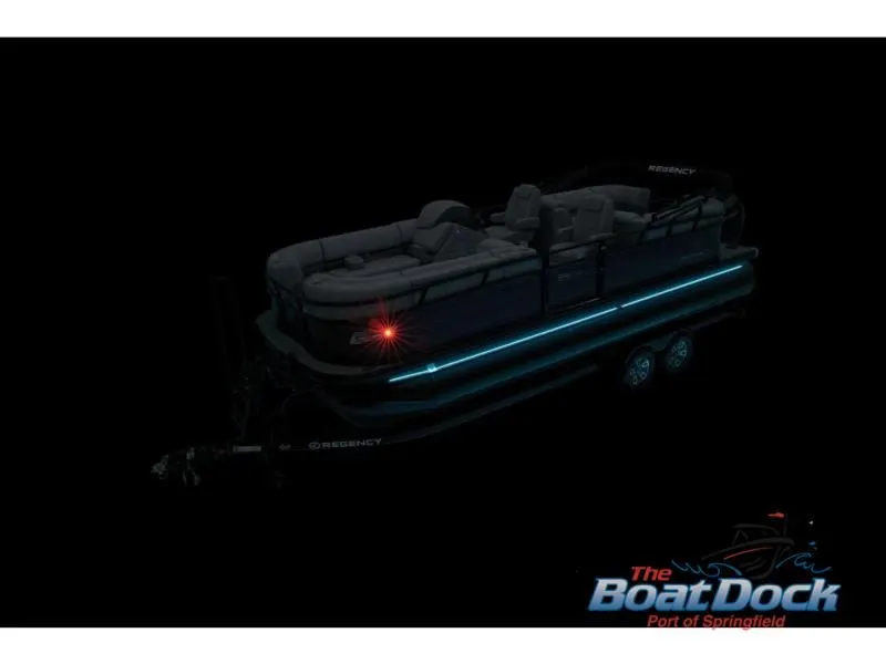 Slide: The Image of 230 DL3 2025 - 92