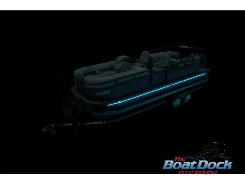 Slide: The Image of 230 DL3 2025 - 95