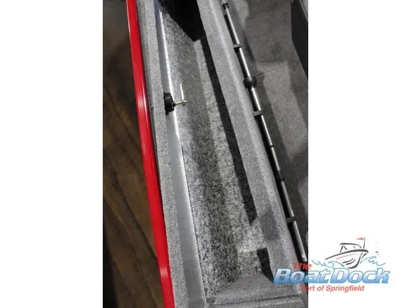 Slide: The Image of Panfish 17 2025 - 14