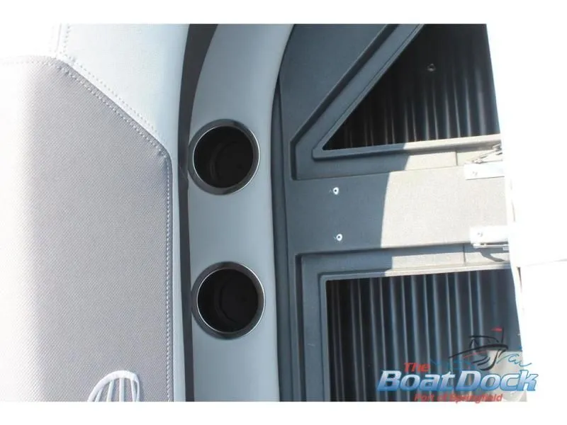 Slide: The Image of Bass Buggy 18 DLX 2026 - 18