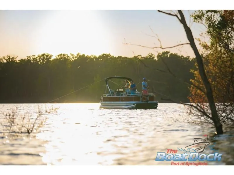 Slide: The Image of Bass Buggy 16 XL Select 2026 - 86