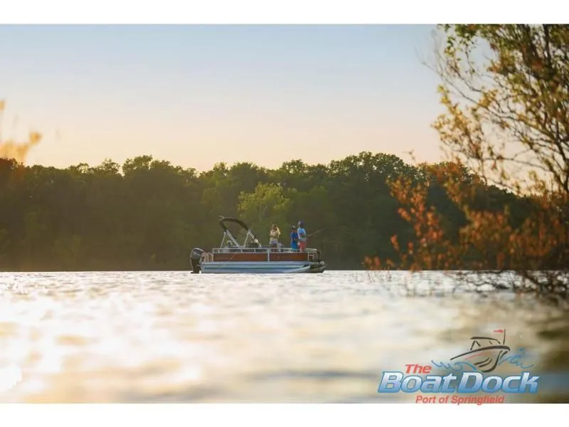 Slide: The Image of Bass Buggy 16 XL Select 2026 - 87