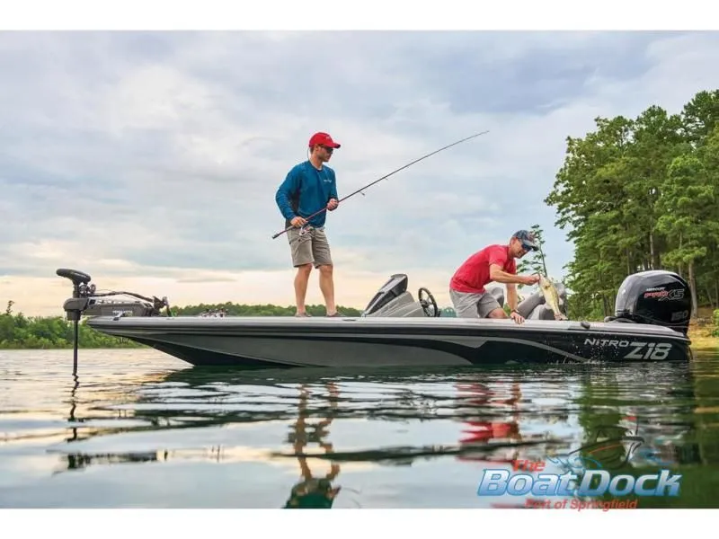 Slide: The Image of Z Series Z18 Pro 2026 - 100