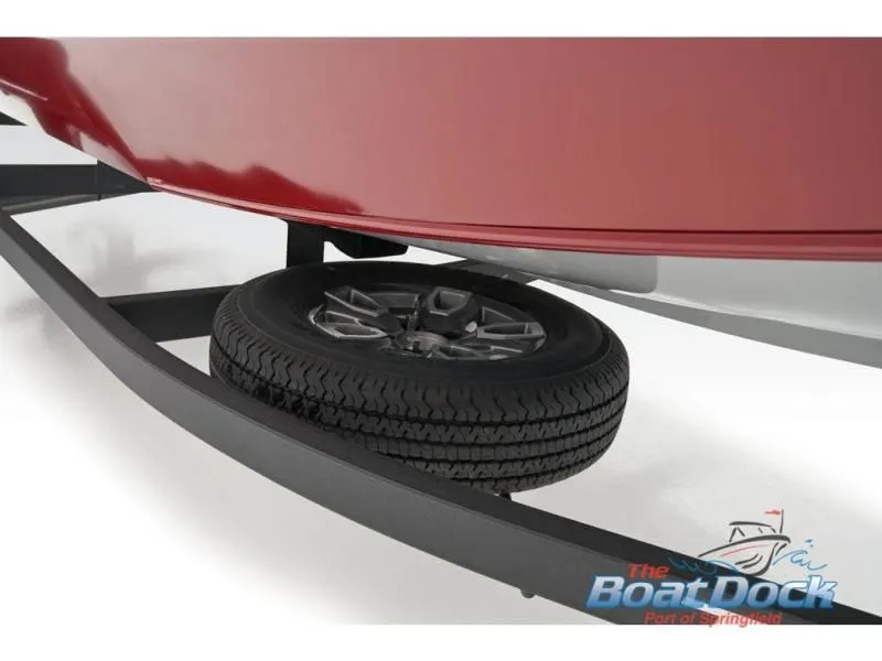 Slide: The Image of Pro Team 175 2026 - 30