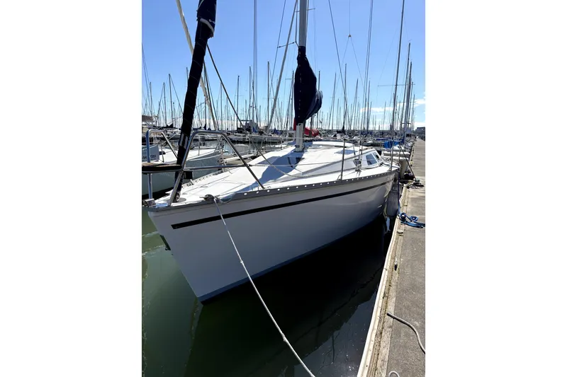 The Image of 1989 Hunter 30 sailboat cruising under a bridge with city skyline in the background. - 0