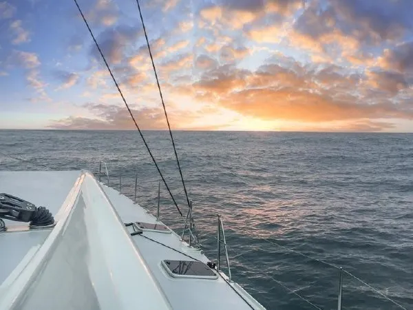 Slide: The Image of Dix Harvey dh550 2016 - 45