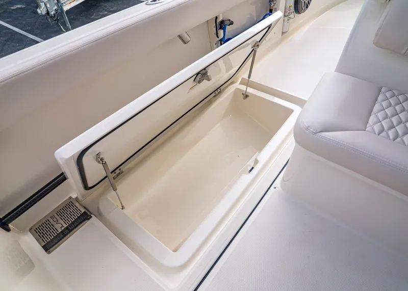 Slide: The Image of Solace 28 HCS 2026 - 18