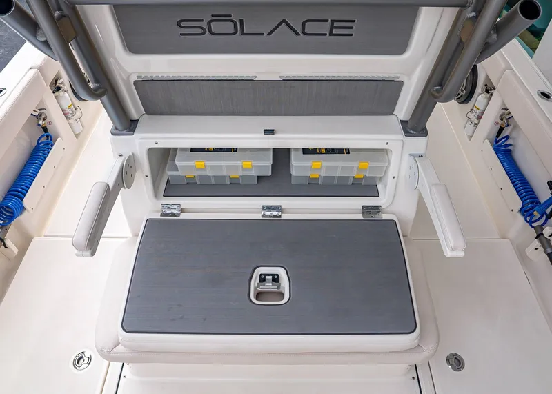 Slide: The Image of Solace 28 HCS 2026 - 8