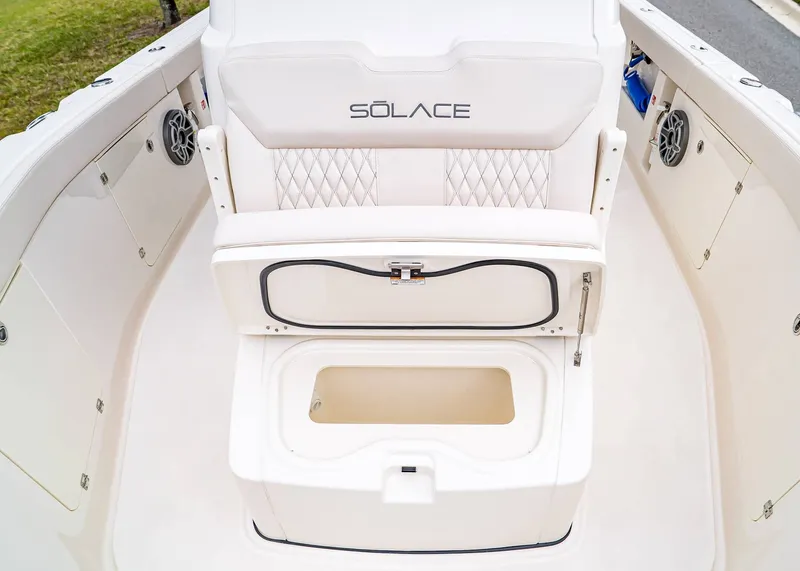 Slide: The Image of Solace 30 CS 2026 - 31