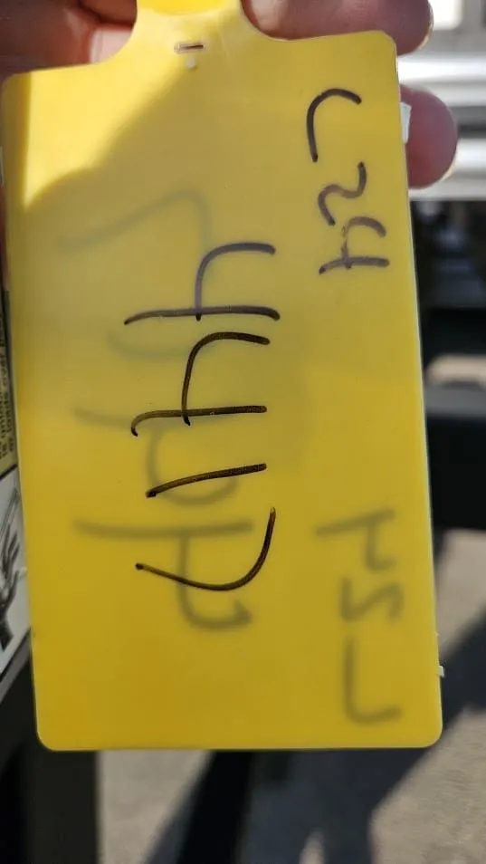 Slide: The Image of Lowe LS210 WT 2025 - 3