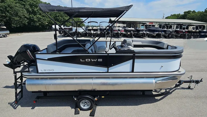 Slide: The Image of Lowe LS 190 2025 - 26