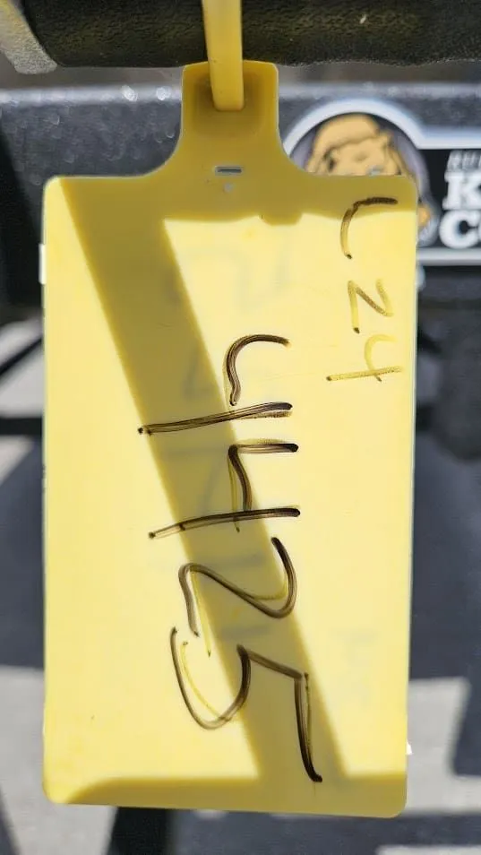 Slide: The Image of Lowe LS210 WT 2025 - 2