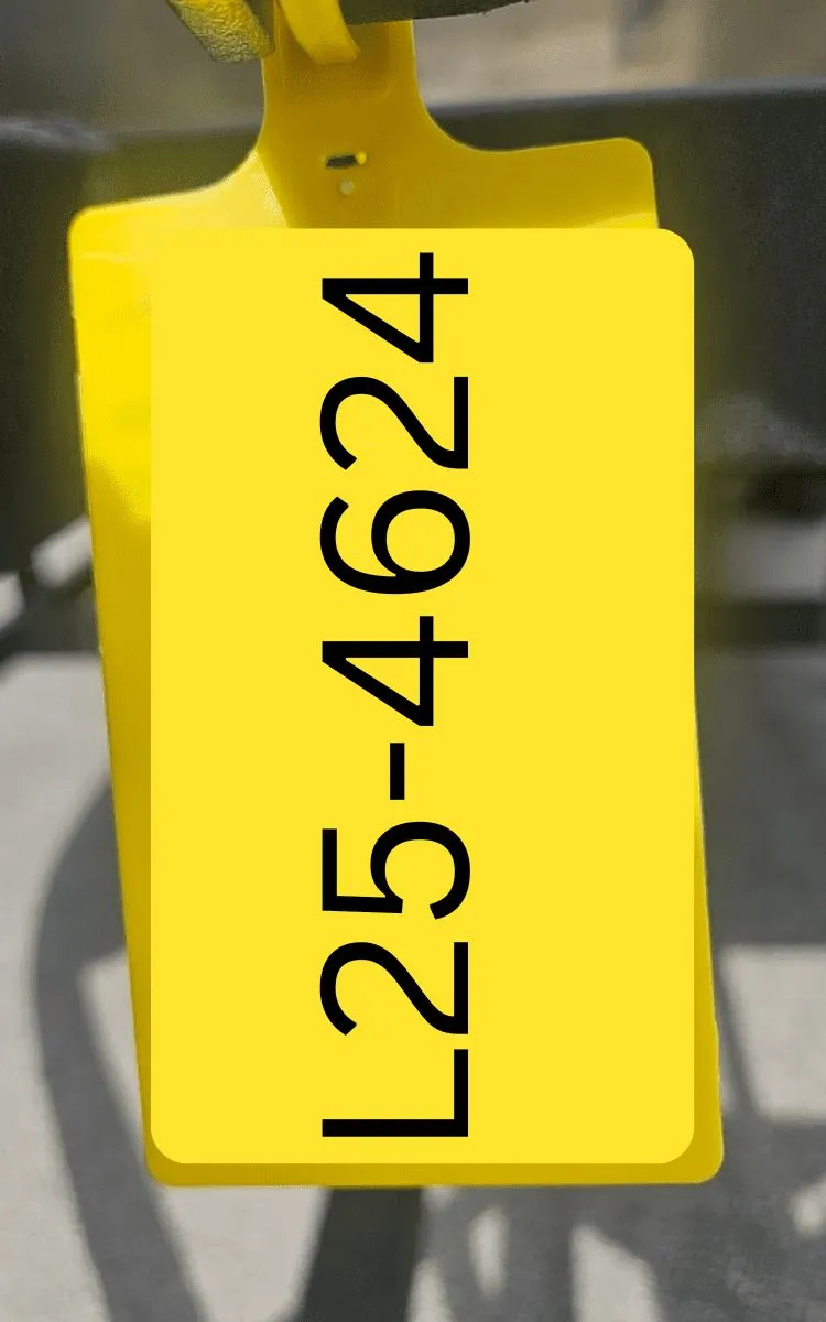 Slide: The Image of Lowe LF 194 2026 - 9