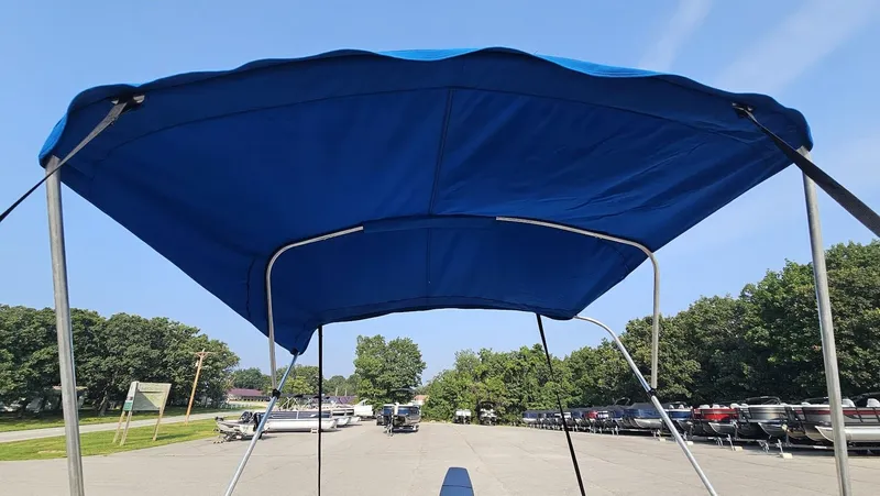 Slide: The Image of Lowe Sea Nymph V Series 2002 - 25