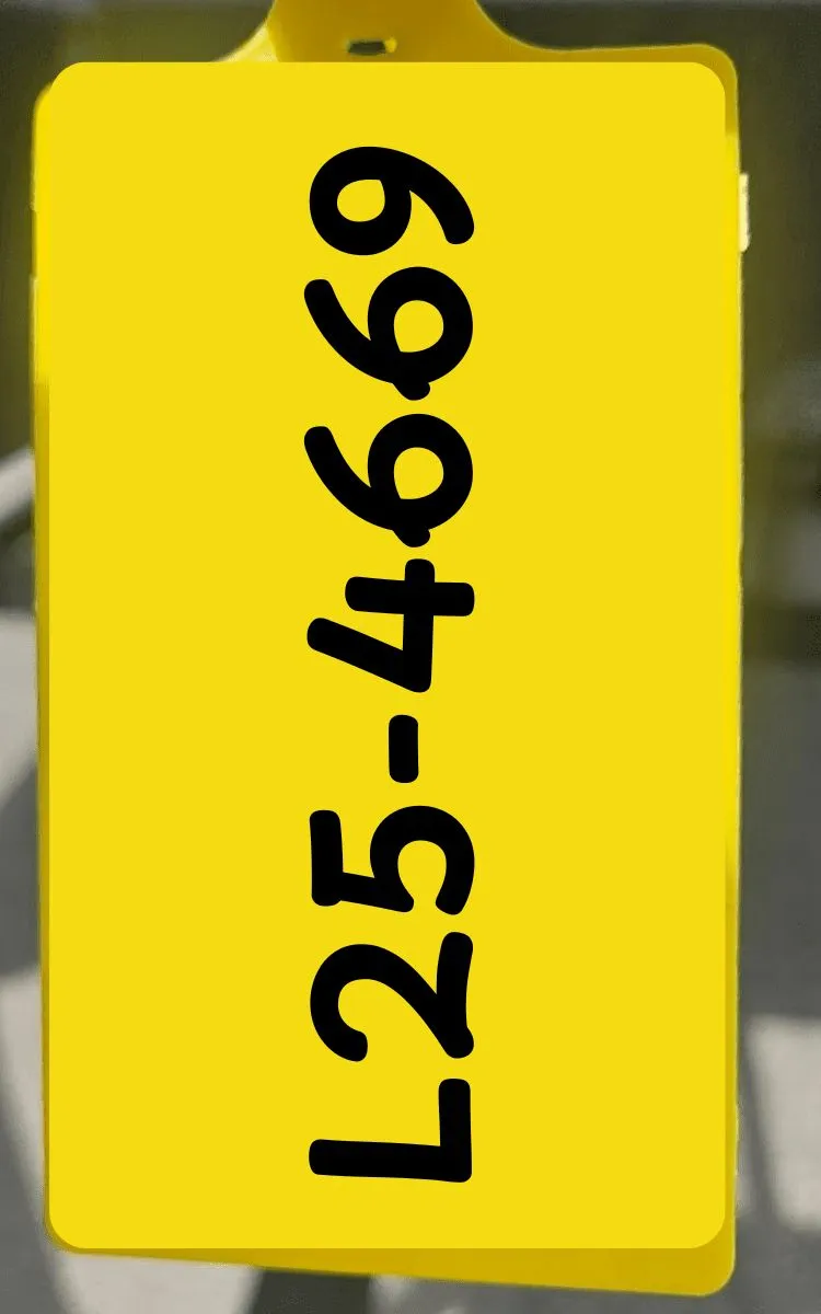 Slide: The Image of Lowe LF 194 2026 - 3