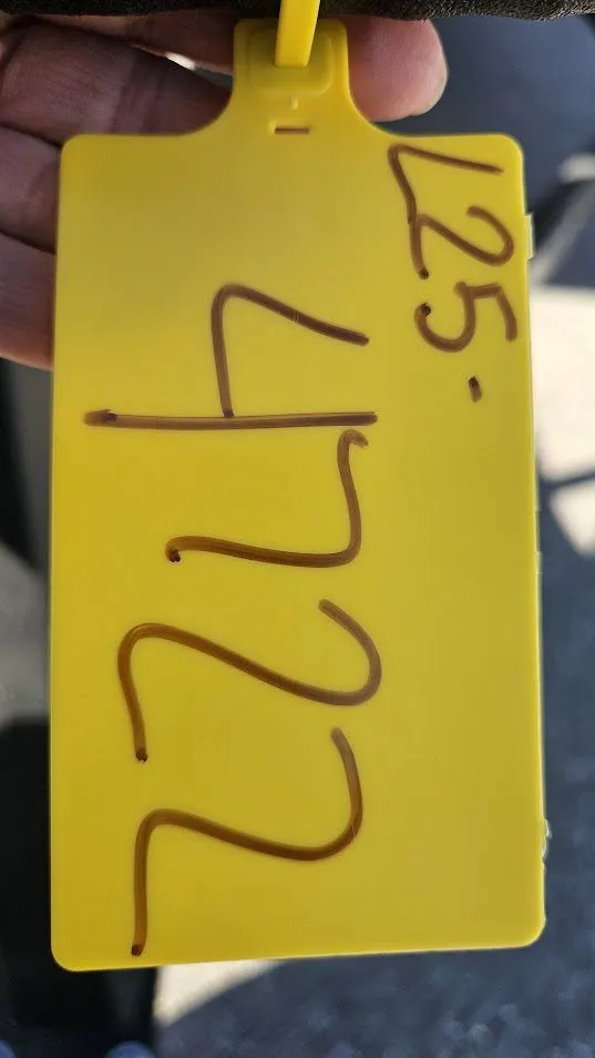 Slide: The Image of Lowe SF212 2026 - 20