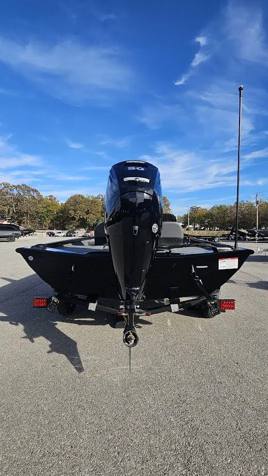 Slide: The Image of Lowe Stinger 175C 2026 - 4