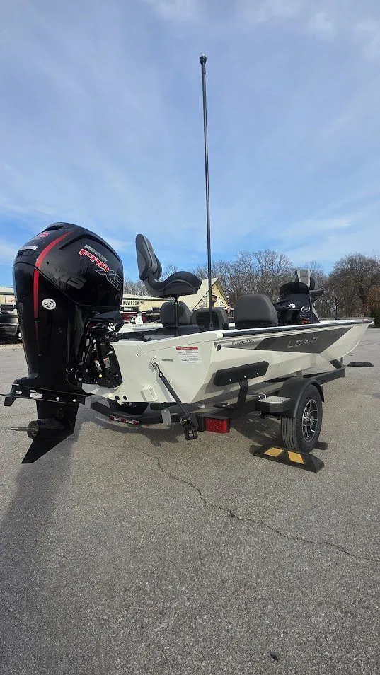 Slide: The Image of Lowe Stinger 195C 2026 - 5