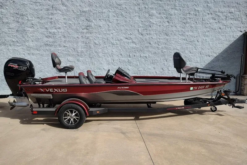 The Image of Vexus AVX 1980 2020 - undefined