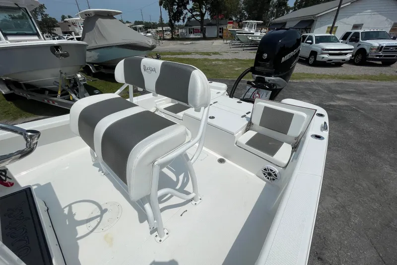 Slide: The Image of 2023 BlackJack 256 Bay boat interior with seating and Mercury engine. - 17