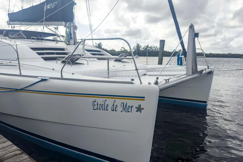 The Image of Leopard 42 2002 - undefined