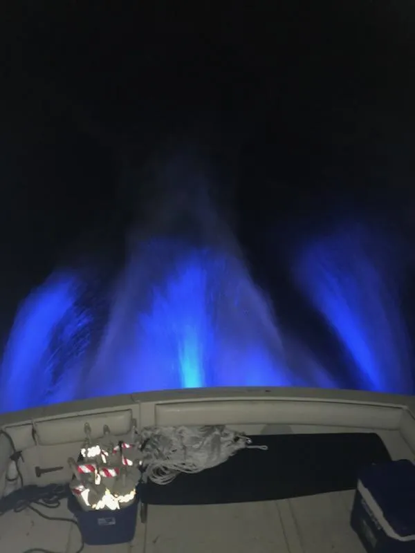 Slide: The Image of 1991 Wellcraft 3300 Sport Bridge at night with glowing blue wake. - 25