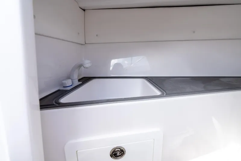 Slide: The Image of 2024 Dynamic D-305V interior sink with modern faucet and sleek countertop design. - 14