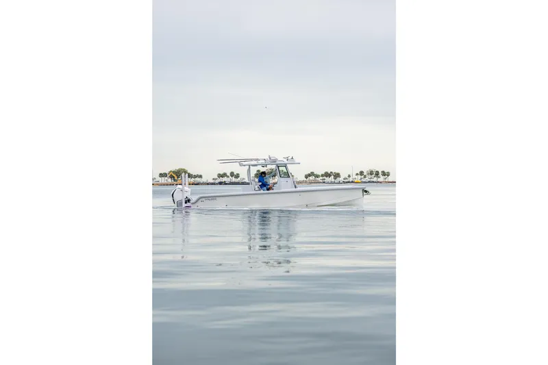 Slide: The Image of 2024 Dynamic D-305DF boat on calm water with distant palm trees. - 25