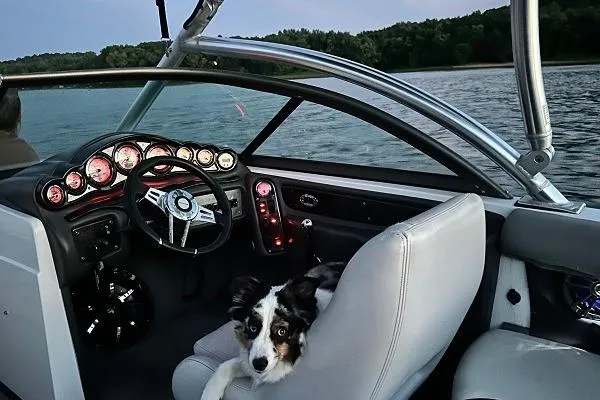 Slide: The Image of 2006 Supra Launch 20 SSV boat interior with a dog on the seat, lake view. - 4