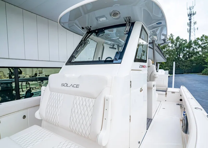 Slide: The Image of Solace 28 HCS 2026 - 29