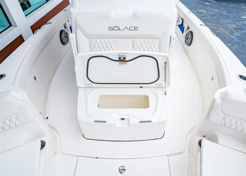 Slide: The Image of Solace 28 HCS 2026 - 33