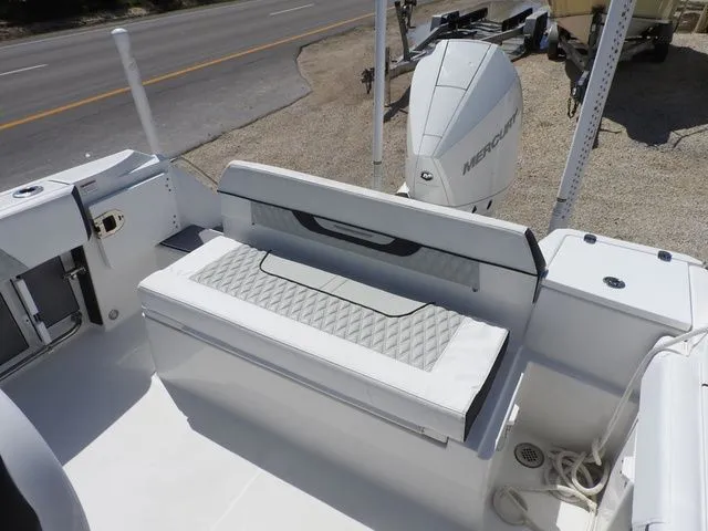 Slide: The Image of Blackfin 222 2023 - 8