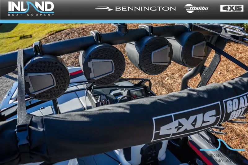 Slide: The Image of Axis A245 2026 - 10