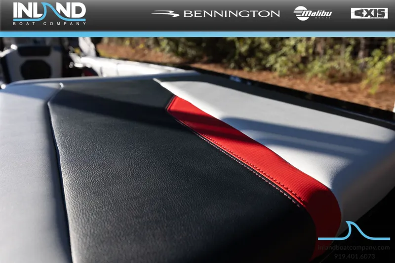 Slide: The Image of Axis A245 2026 - 7