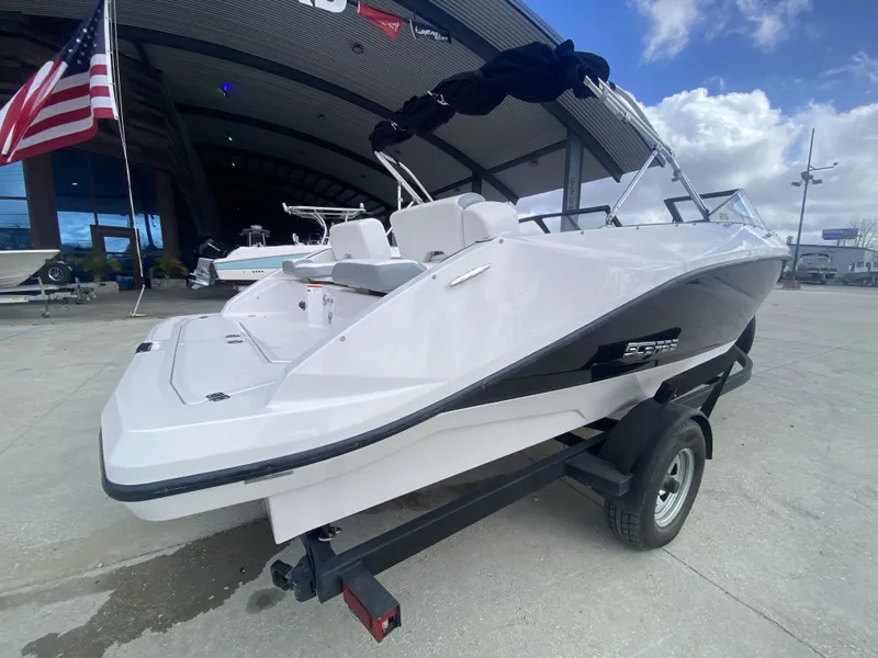 Slide: The Image of Scarab 215 G 2018 - 3