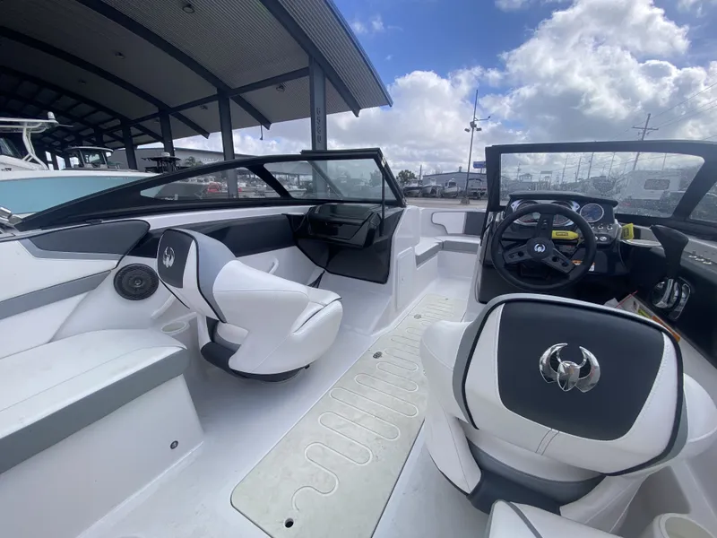 Slide: The Image of Scarab 215 G 2018 - 8